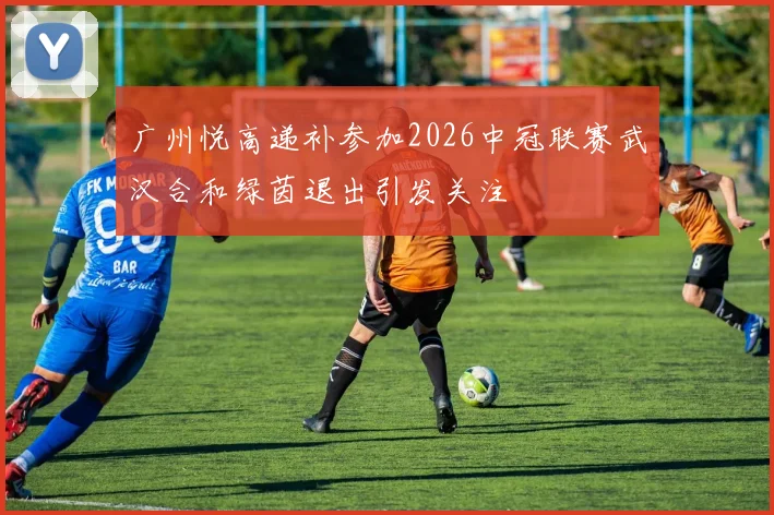 广州悦高递补参加2026中冠联赛武汉合和绿茵退出引发关注