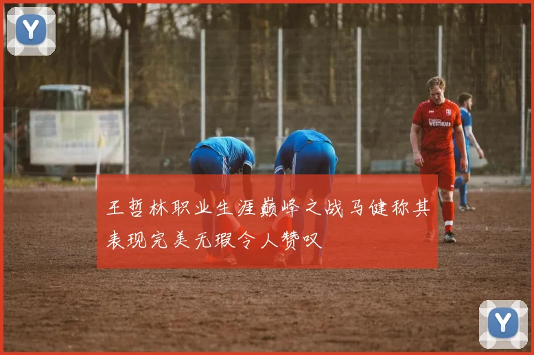 王哲林职业生涯巅峰之战马健称其表现完美无瑕令人赞叹