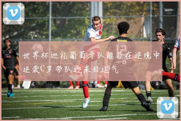 世界杯巡礼葡萄牙队能否在逆境中逆袭C罗带队迎来好运气